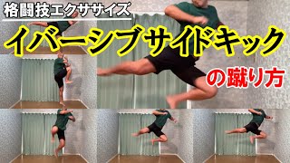 イバーシブサイドキック（Evasive Side Kick）の蹴り方を解説【格闘技エクササイズ動作解説】