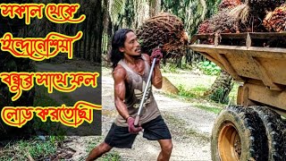 ভোর ৬ টার থেকে পাম ফল কাটতে কাটতে আজ খুবই ক্লান্ত।