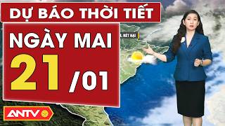 Dự báo thời tiết ngày mai 21/1: Bắc Bộ rét đậm, rét hại; Nam Bộ nắng | ANTV