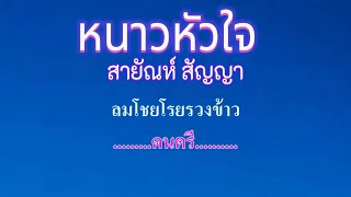 ♬หนาวหัวใจ สายัณห์ สัญญา remix #karaoke #คาราโอเกะ