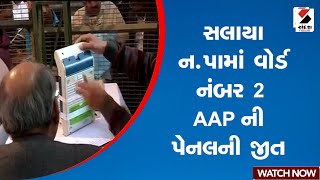 સલાયા ન પામાં વોર્ડ નંબર 2 AAP ની પેનલની જીત | Gujarat Local Body Polls 2025 | Gujarat