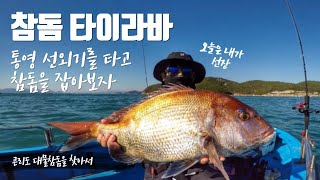 [오션88] 참돔 타이라바 / 통영 곤리도 선외기를 타고 참돔을 잡아보자 (tairubber redseabream fishing)