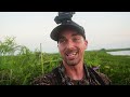 south louisiana teal opener we have birds 4k