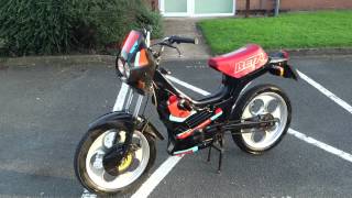 1991 BETA 50 FOUR SPEED MANUAL LIQUID COOLED GREAT RUNNER RARE MOPED MOTORBIKE