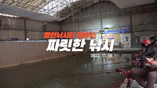 짜릿한 찌올림 낚시-경기 안성 명인낚시터 하우스(2022.11.08)