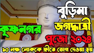 কৃষ্ণনগর বুড়িমা রঙের কাজ শুরু 😍 | krishnanagar burima jagadhatri puja 2024