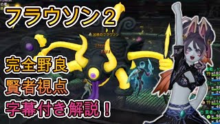 フラウソン2　賢者視点　字幕付き解説　完全野良 【ドラクエ10】