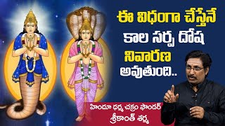 ఈ విధంగా చేస్తేనే కాలసర్ప దోష నివారణ అవుతుంది !! Kala Sarpa Dosha Remedies !! Srikanth Sharma !! SS