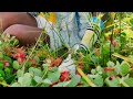 mamawe by Mr bow ft filomena maricoa official video