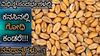 ಕನಸಿನಲ್ಲಿ ಗೋಧಿ ಕಂಡರೆ || Kanasinalli Godhi Kandare || Wheat Dream Meaning \u0026 Analysis