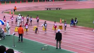 第３８回江東区秋季陸上競技大会　小学低学年女子５０ｍ　１組