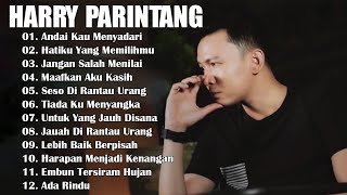 HARRY PARINTANG LAGU GALAU BIKIN BAPER  || Andai Kau Menyadari