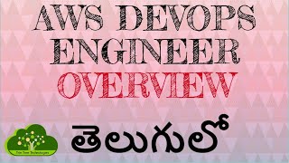 AWS Devops Engineer Overview -- Session 01