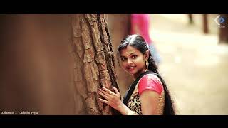 Kerala Hindu Wedding Highlights 2015 - Dhaneesh+Lakshmipriya