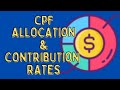 How Much Of Your Salary Goes To Your CPF? Understanding CPF Contribution and Allocation Rates