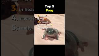 Top 5 Frogs