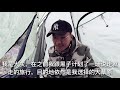 大灰video，两小伙户外生存，暴雨天搭建帐篷，暴雨来了