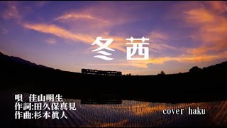 冬茜　佳山明生　歌唱　haku