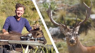 Pre-Roar Red Stag and Tahr Hunting Canterbury | Episode 2