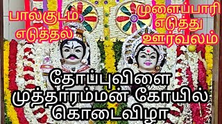 பால்குடம் மற்றும் முளைப்பாரி எடுத்து வருதல்|தோப்புவிளை முத்தாரம்மன் கோயில்