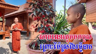 វត្តស្វាយត្រស់ ធ្វើបុណ្យឆ្លងកុដិនៅដើមខែមីនានេះហើយ - អាណិតកូននេនណាស់ ម៉ែស្រវឹងធ្វើបាបរត់មកបួស