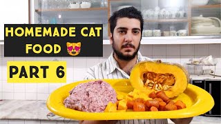 Homemade Cat Food | persian cat food recipe for Summer | How to make cheap homemade cat food at home