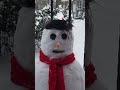 carol of the bell snowfall snowman chicago winter satisfyingvideo christmassongs