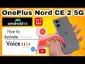 OnePlus Nord CE 2 5G Android 12 Google Voice Assistant || How to activate voice Google assistant  🔊