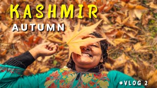 Kashmir in November | Autumn Experience in India | Stay, Food, Taxi Details | Srinagar, Gulmarg Vlog