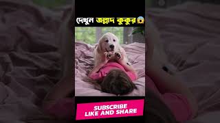 একটি মাত্র ভুল, সারাজীবন কেঁদেছে সে 😨 Sad Dog Status | 1M Bangla | Mayajaal | Apni ki Janen #shorts