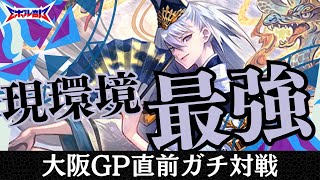 【付け入る隙なし】今期環境TOPの超越ウィッチでGP直前ガチ対戦　超越ウィッチvs超越ウィッチ　シャドウバースエボルヴ