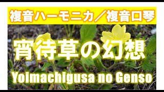 P491. 『宵待草の幻想』”Yoimachigusa no Genso” 複音ハーモニカ  by  柳川優子  Yuko Yanagawa Tremolo Harmonica 1,000　複音口琴