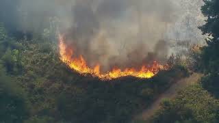 High wildfire risk: Burn bans in effect across western Washington