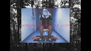 Soundlace - Wonderful Horrible Life (Official Video)