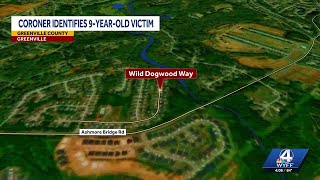 Coroner identifies child killed in Greenville County