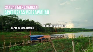 MENCOBA SPOT BEKAS PERSAWAHAN //MANCING CIRATA TERBARU 2024