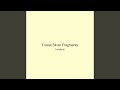 Forest Silver Fragments