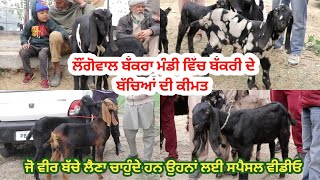 ਲੌਂਗੋਵਾਲ ਮੰਡੀ ਵਿੱਚ ਬੱਕਰੀ ਬੱਚਿਆਂ ਦੀ ਕੀਮਤ || Goat Kids price || Longowal Bakra Mandi @ILTILANATV