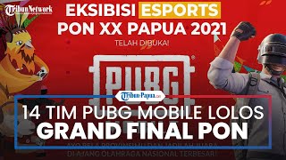 14 Tim Esports PUBG Mobile Lolos Grand Final PON XX Papua 2021, Berikut Daftarnya