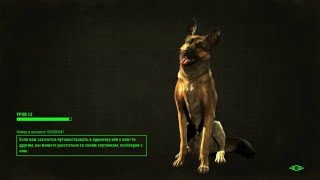 Fallout 4, фарм опыта и крышек гайд, имба страта.