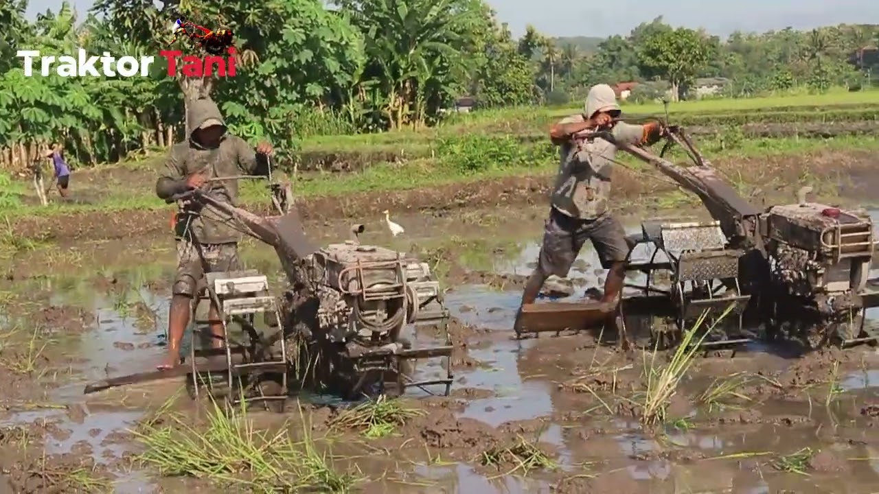 CEPAT SEKALI !! BAJAK SAWAH DENGAN 2 TRAKTOR SAWAH QUICK G1000 BEKERJA ...