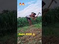 डेसी बालक 💪🔥🔥 rap punjabisong music deshibalak villagelife punjabi @deshi balak