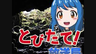 とびたて！放送局【その55】お便りコーナー＆『ドラえもんズ』の思い出