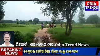 ଭାଲୁ ଆକ୍ରମଣ ରେ ଦମ୍ପତି ଗୁରୁତର,, Odia Trend