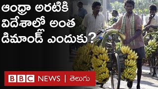 Andhra Banana: సౌదీ నుంచి అమెరికా వరకూ... ఆంధ్రా అరటిపళ్లకు ఎందుకంత డిమాండ్? | BBC Telugu