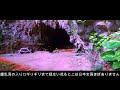 【宮古島探検記】30万年の軌跡☆奇跡の仲原鍾乳洞☆映画好きが作る旅動画