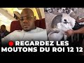 REGARDER LES MOUTONS DU ROI 12 12 DANS DES ENCLOS DE LUXE VENTILES