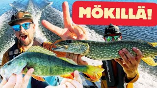 VIETIN 24H MÖKILLÄ! KALASTUSTA, KOKKAUSTA JA KAIKKEE KIVAA! 🍺 🐠 ☀️