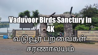 Vaduvoor Bird Sanctury வடுவூர் பறவைகள் சரணாலயம்