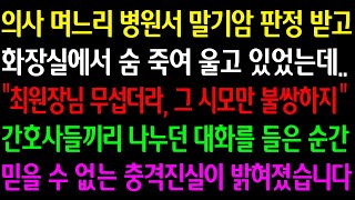 (실화사연) 의사 며느리 병원서 말기암 판정 받고 화장실에서 숨 죽여 울고 있었는데 \